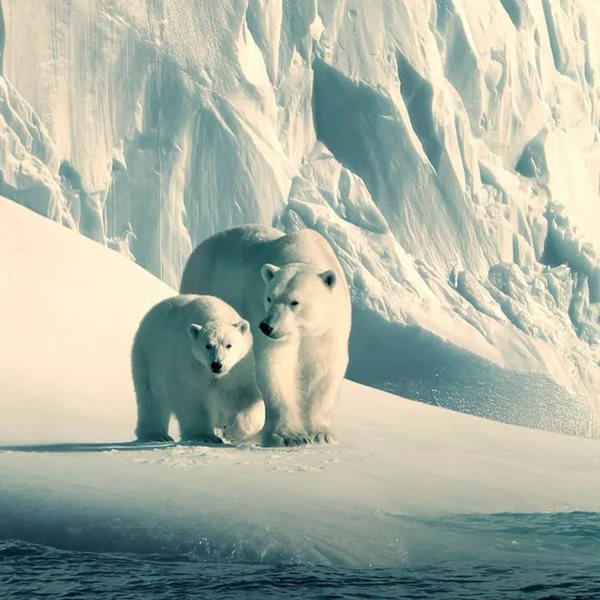 Κάποια από τα καλύτερα ντοκιμαντέρ του Netflix δωρεάν στο YouTube