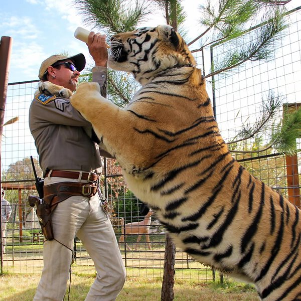 Ο Tiger King ζητά χάρη από τον Donald Trump μέσω της Kim Kardashian