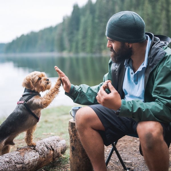 Τα σκυλιά μοιάζουν πραγματικά με τους ιδιοκτήτες τους, λέει η επιστήμη