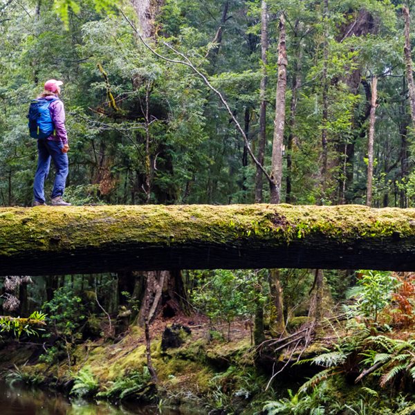 5 πράγματα που δεν ήξερες για την Τασμανία