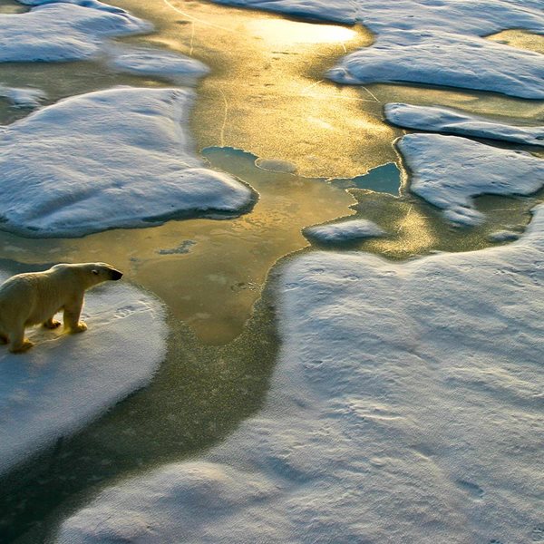 Περιβάλλον, ώρα μηδέν