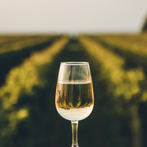 Η Άμβυξ ενισχύει το τμήμα Oenothèque