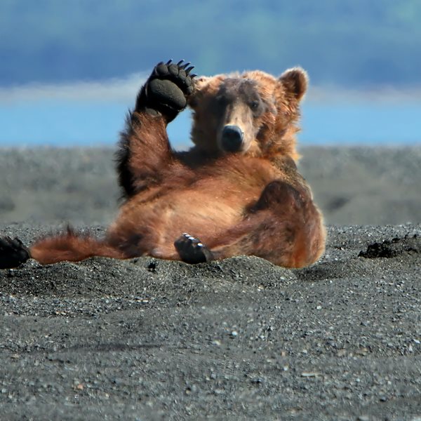 Οι καλές ειδήσεις μίας πολύ κακής χρονιάς
