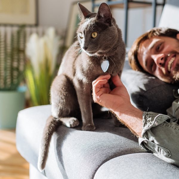 Με γάτα στο σπίτι όλα είναι καλύτερα