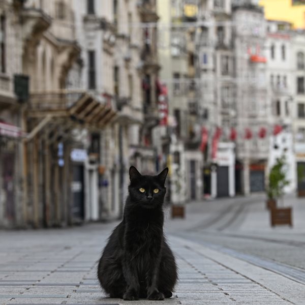 Η Ευρώπη μετά την καραντίνα