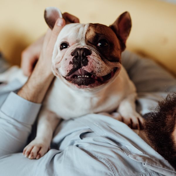 Γιατί η κουβέντα με τον σκύλο σου, σου κάνει καλό