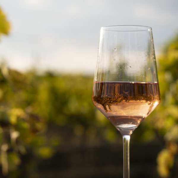 Οι Βάκχες έρχονται και πάλι στο Ρομάντσο