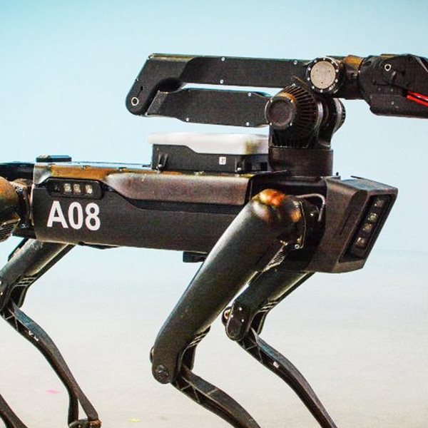 Το πρώτο ρομπότ-κατοικίδιο είναι γεγονός