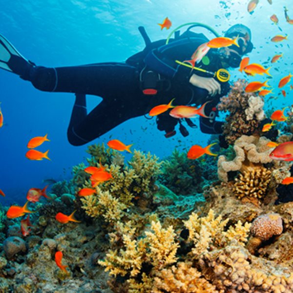 Tips για τέλειες καταδύσεις