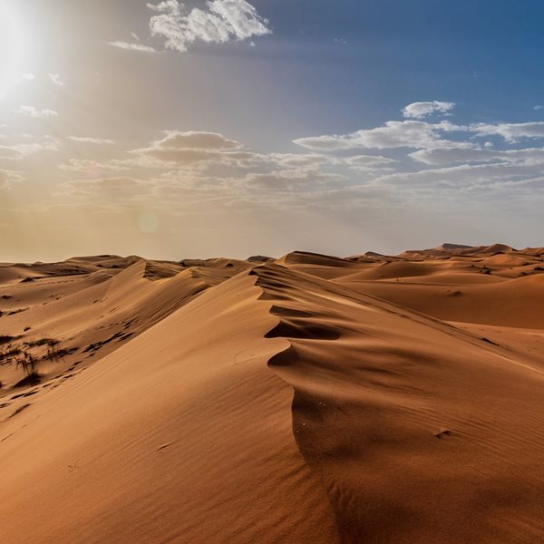 H έρημος Σαχάρα κρύβει ένα απίστευτο μυστικό