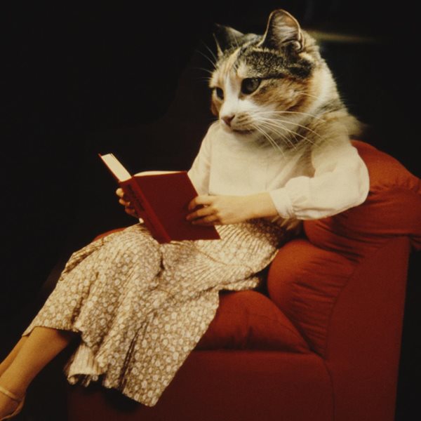 Βιβλία για άντρες, γραμμένα από γυναίκες