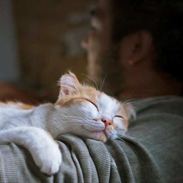 Πώς θα κοιμάσαι καλύτερα, σύμφωνα με το Harvard