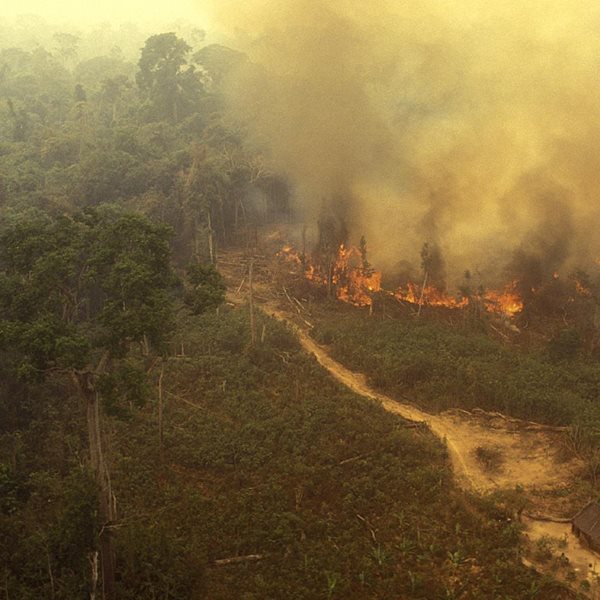 Φλέγεται και πάλι ο Αμαζόνιος