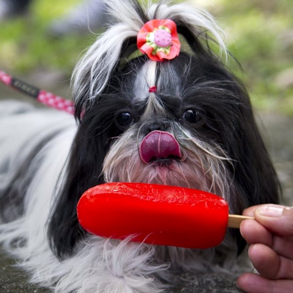 Ωραίο το παγωτό, αλλά πόσες ακριβώς θερμίδες έχει ανά γεύση;