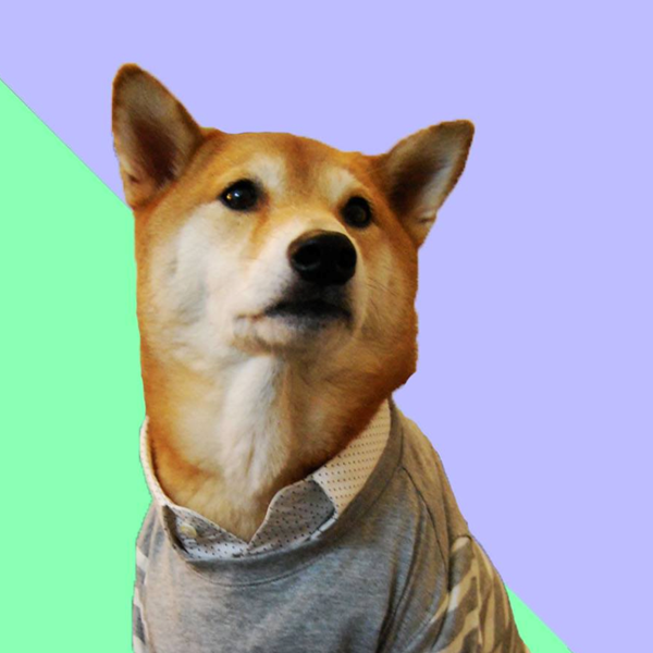 Influencers αλλά με 4 πόδια