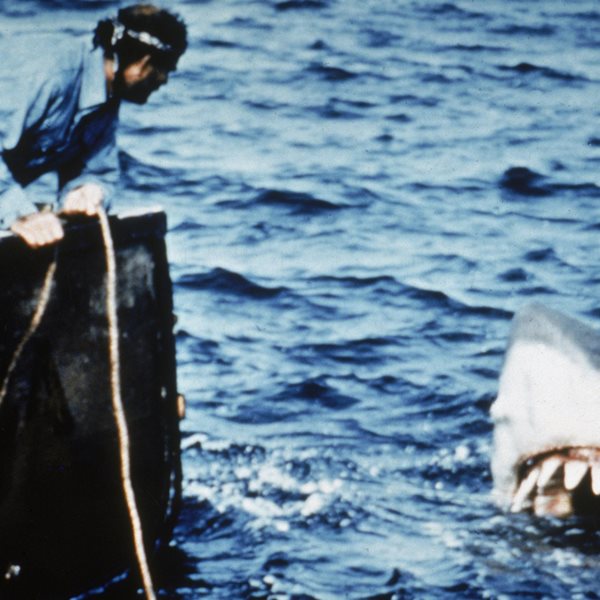 7 'κουλά' πράγματα για τα 'Σαγόνια του Καρχαρία' που έγιναν 50 ετών