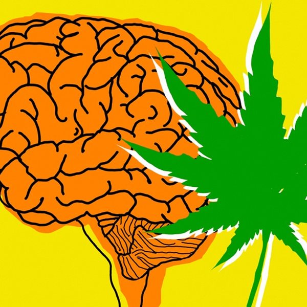 Κι αν η χρήση κάνναβης αλλάζει το DNA μας;