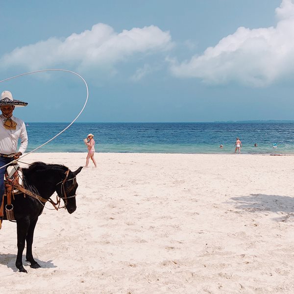 Οι ομορφότερες φωτογραφίες του 2020 που τραβήχτηκαν με iPhone