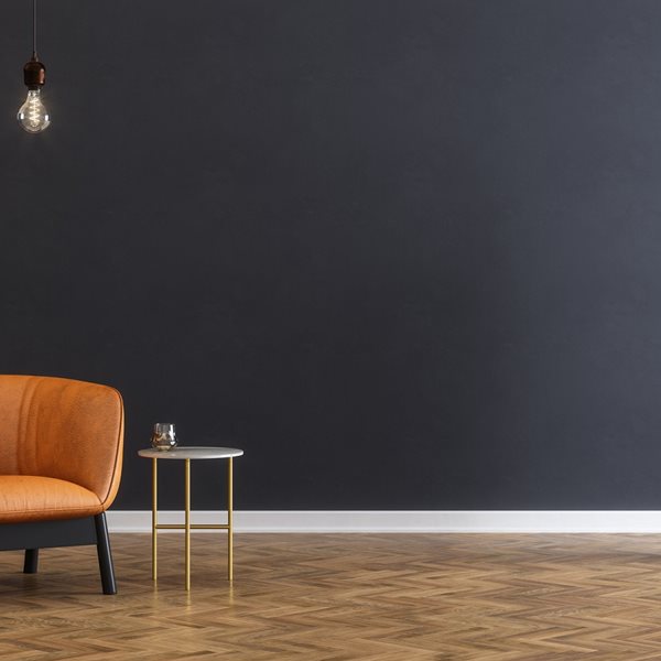 Τα φυτά που καθαρίζουν την ατμόσφαιρα