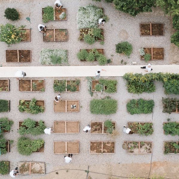 Alepochori Experience, με την υπογραφή του Τάσου Μαντή του πολυβραβευμένου Soil