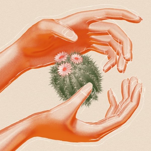 OpenSea: Η πλατφόρμα-επανάσταση των NFTs ή μία φούσκα;