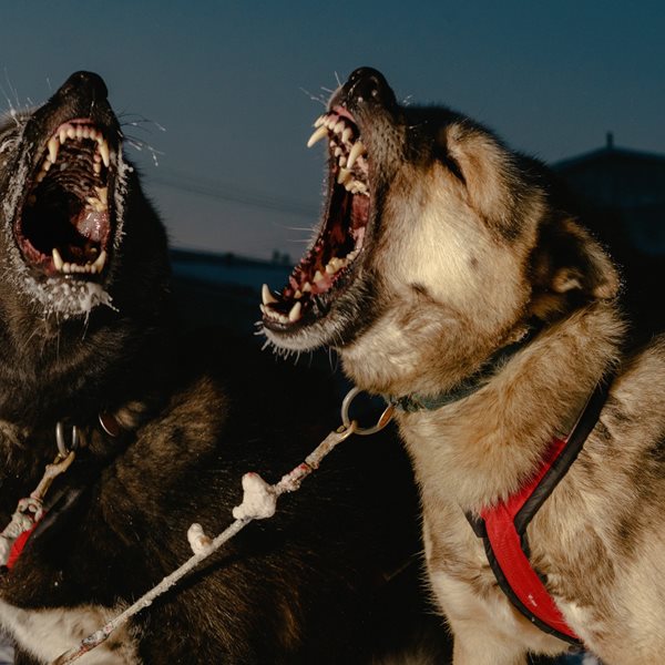 Εικόνες από τη ζωή στην πιο απομακρυσμένη πόλη της Αλάσκα