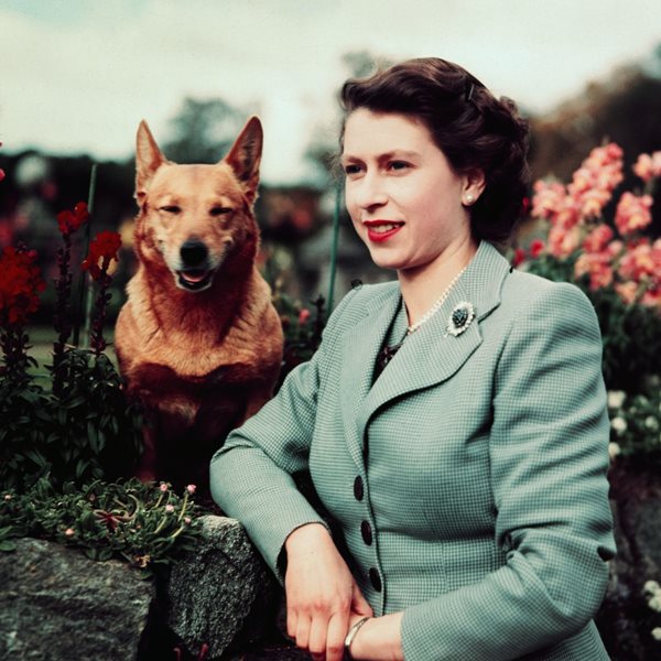 Μερικά πράγματα που ίσως δεν γνώριζες για την βασίλισσα Ελισάβετ