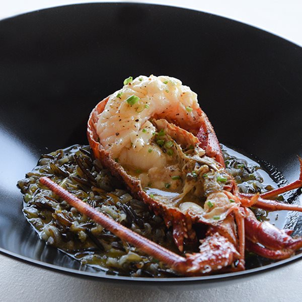 The White House: Ο Λευτέρης Λαζάρου σαλπάρει για Κέρκυρα