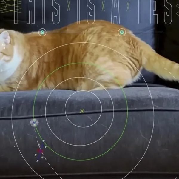 Η NASA μετέδωσε βίντεο μίας γάτας από το διάστημα