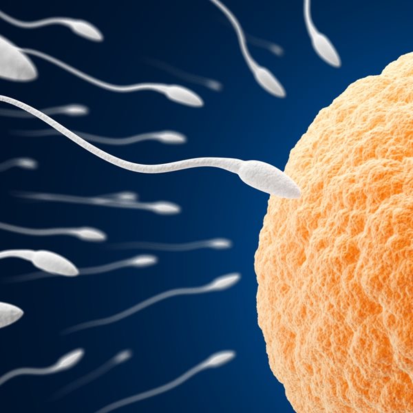 Γιατί η κατάψυξη ωαρίων είναι πιο δημοφιλής από ποτέ;