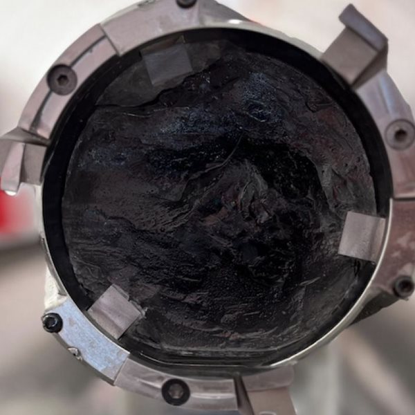 Επιστήμονες έκαναν μια ιστορική ανακάλυψη στην Ανταρκτική