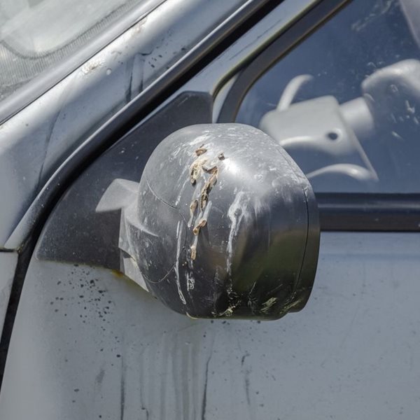 Το κόλπο για να μη σου λερώνουν τα πουλιά το αυτοκίνητο