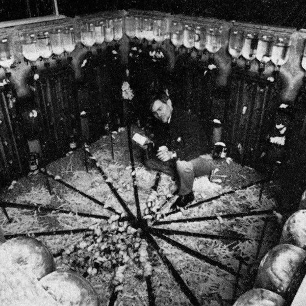 Άνθρωποι και ποντίκια: Το πείραμα του John Calhoun για το μέλλον του πολιτισμού