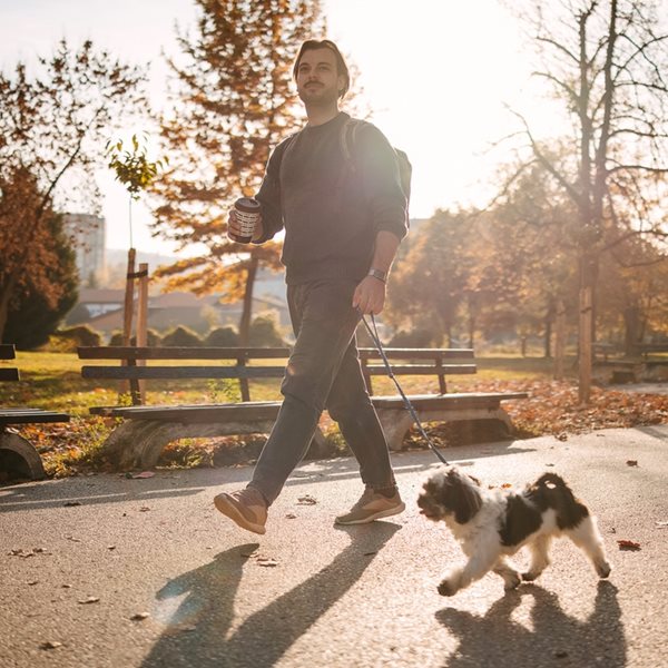 Ποια είναι η καλύτερη ώρα για να βγάλεις τον σκύλο σου βόλτα