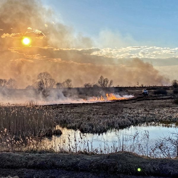 Ηφαίστεια, πυρκαγιές, ραδιενέργεια και ακρίδες