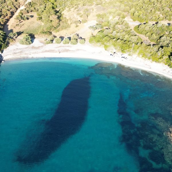 Η φανταστική παραλία της Εύβοιας που δεν έχει ποτέ κύμα