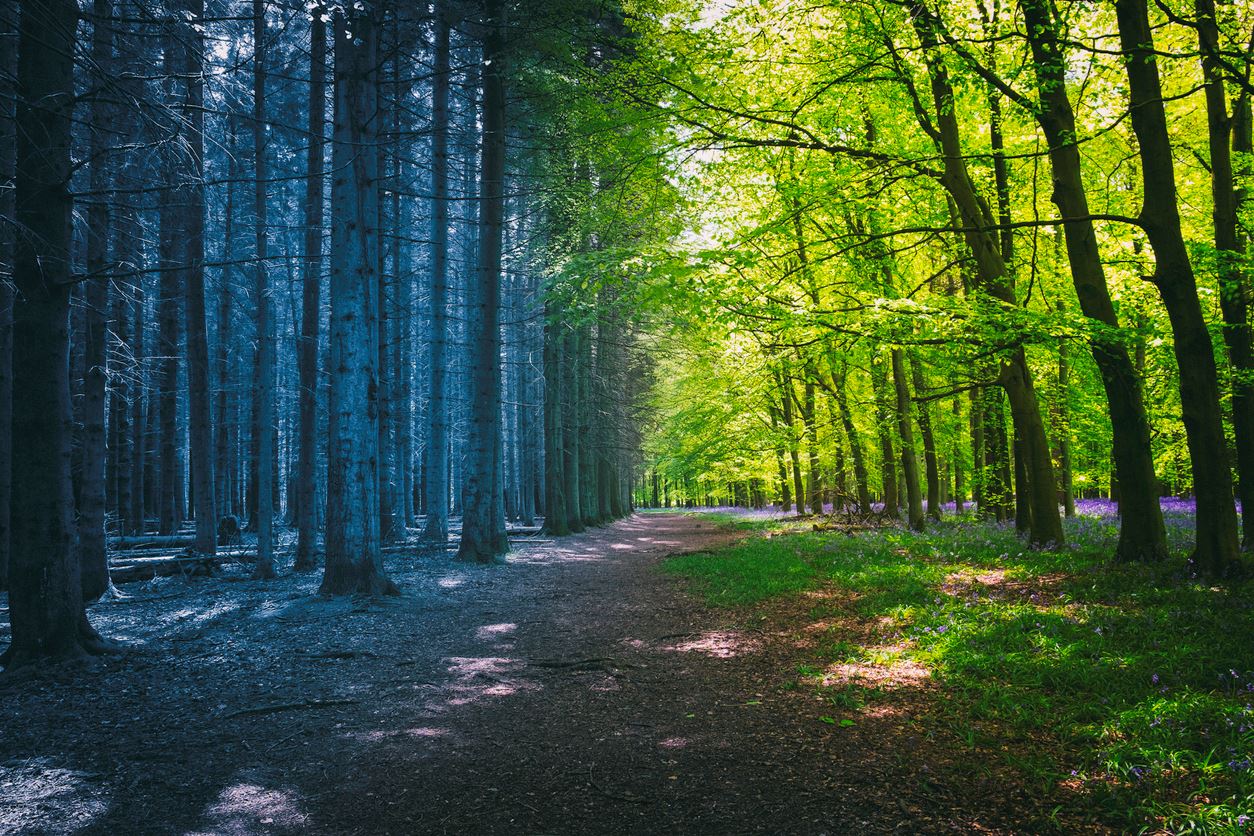 Η κλιματική αλλαγή θα εξαφανίσει την άνοιξη και το φθινόπωρο