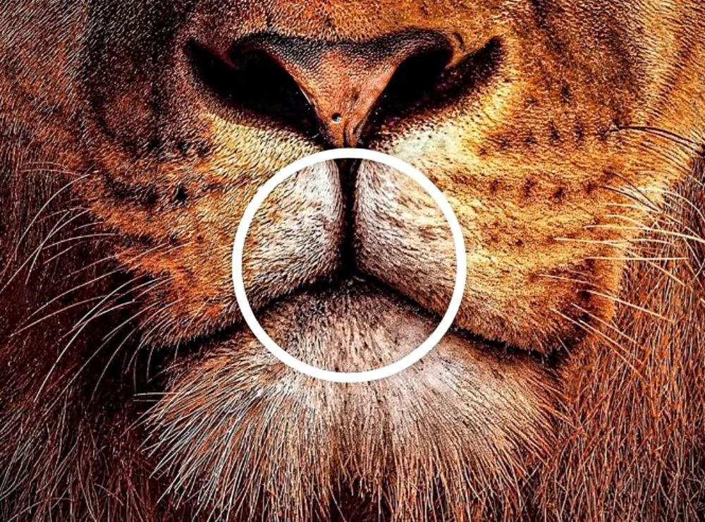 Η διαφημιστική καμπάνια φίρμας αυτοκινήτων που έγινε viral