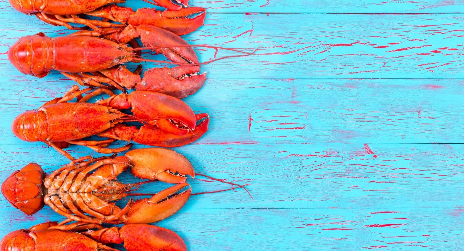 Γιατί ο αστακός πρέπει να μαγειρεύεται ζωντανός