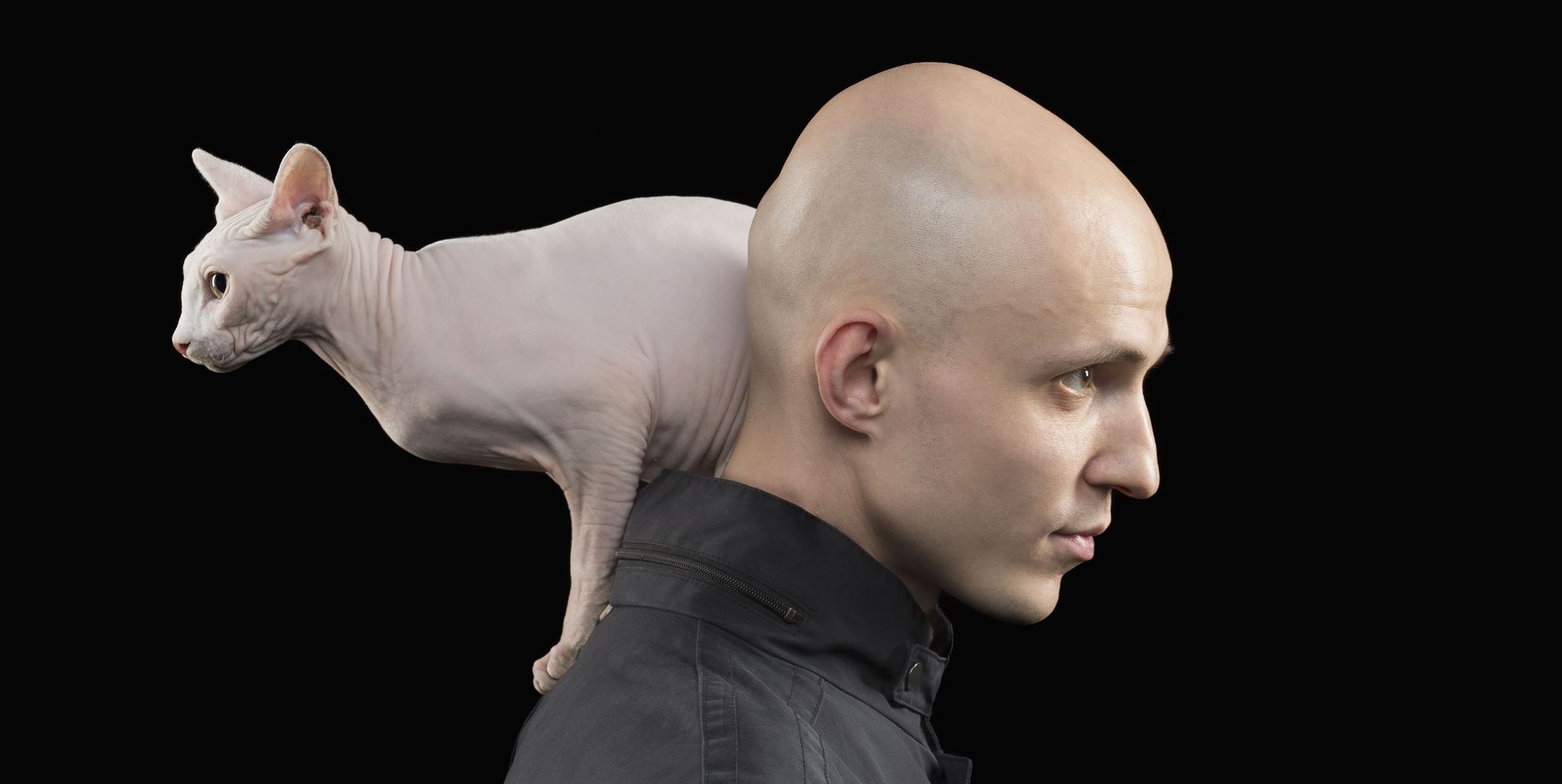 Βρέθηκε το φάρμακο κατά της φαλάκρας;