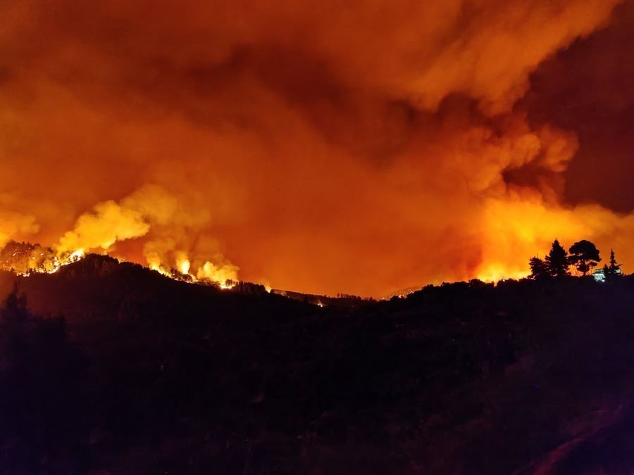 60.000 στρέμματα κάηκαν σε 4 μέρες, ο απολογισμός του Αστεροσκοπείου Αθηνών