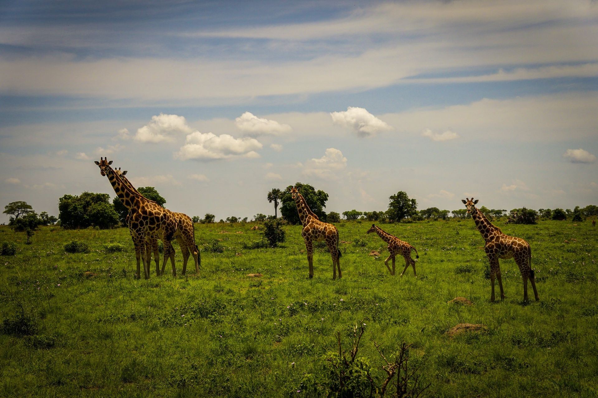Τι μαθαίνεις κάνοντας φωτογραφικό σαφάρι στην Αφρική και μερικές υπέροχες εικόνες