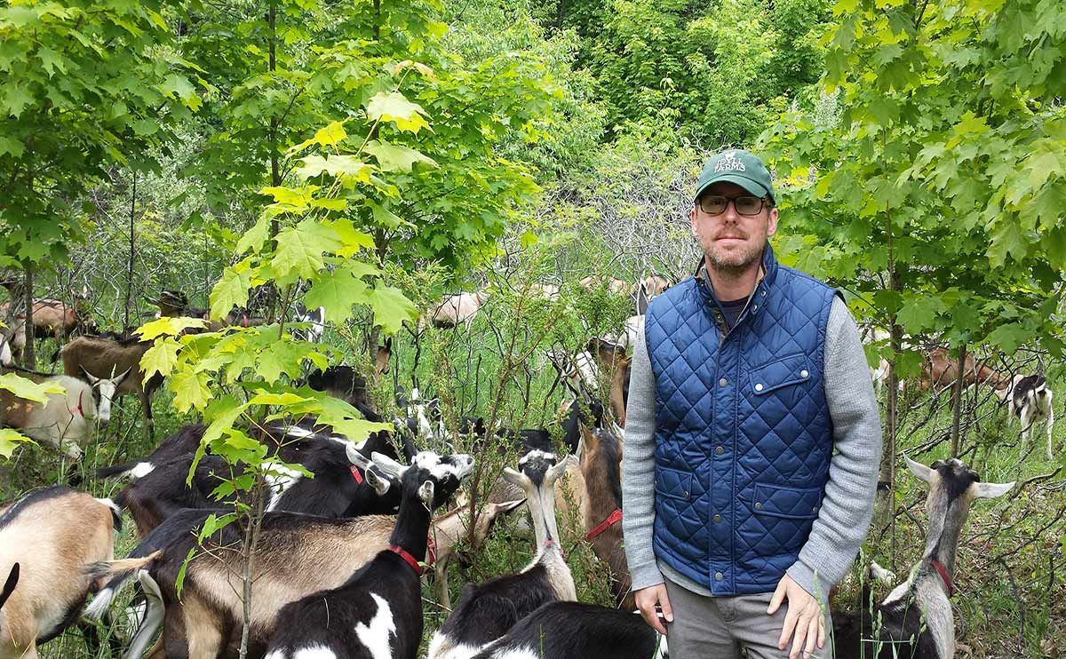 Ο κτηνοτρόφος που πόνταρε στην "τέλεια καταστροφή"