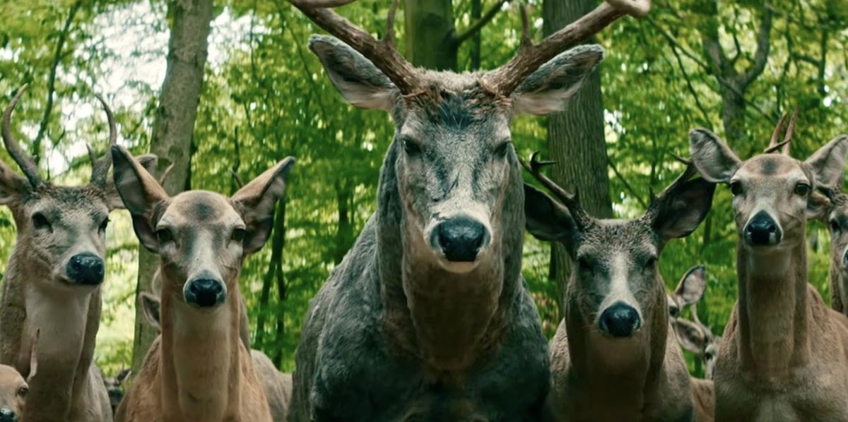 Τι 'τρέχει' με τα ελάφια στο 'Άσε τον Κόσμο Πίσω' στο Netflix