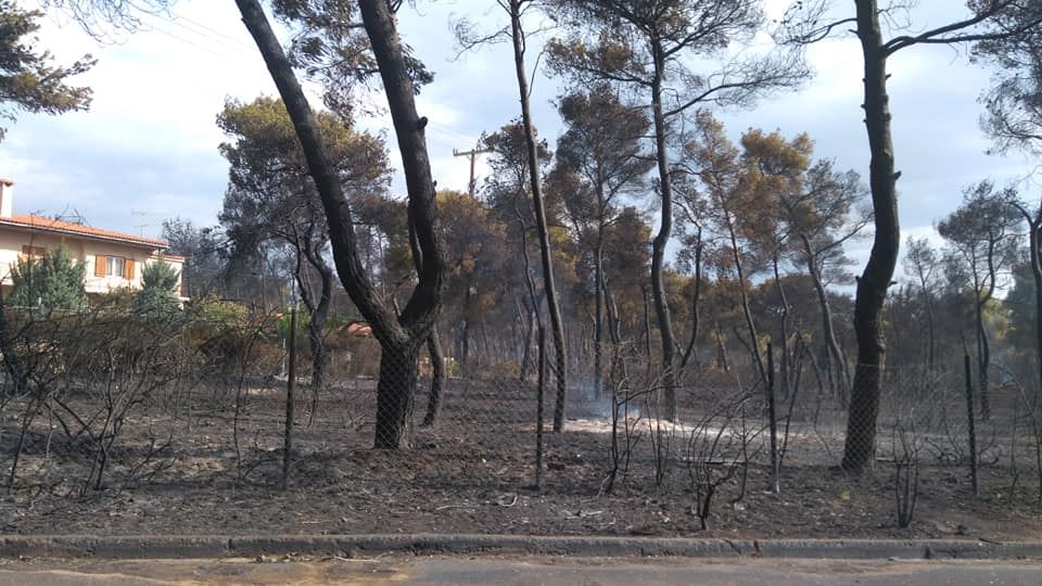 Σήμερα η απόφαση του δικαστηρίου για τη φονική πυρκαγιά στο Μάτι