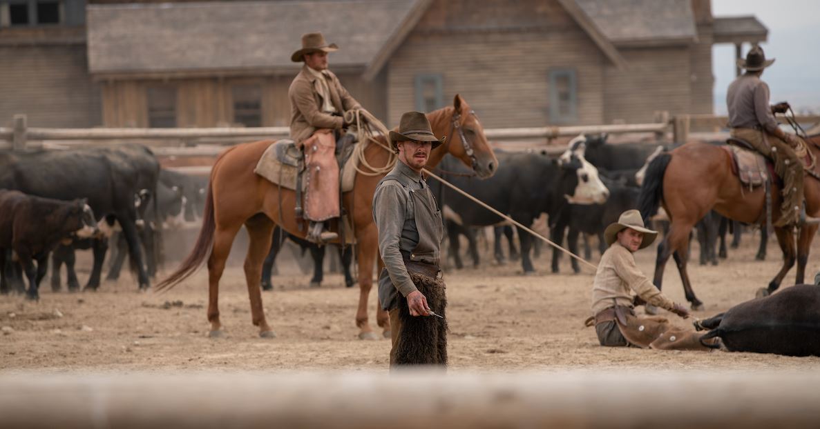 Οι φετινές υποψηφιότητες των Όσκαρ