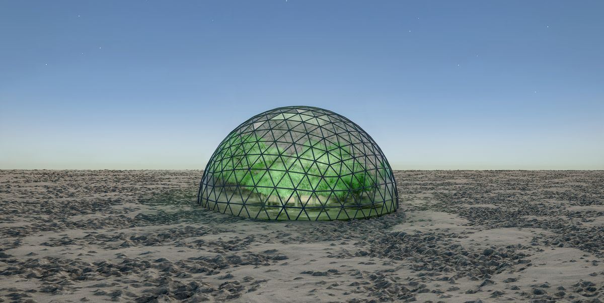 Κι όμως, υπάρχει ένα τρελό σχέδιο για ζωή στον Άρη