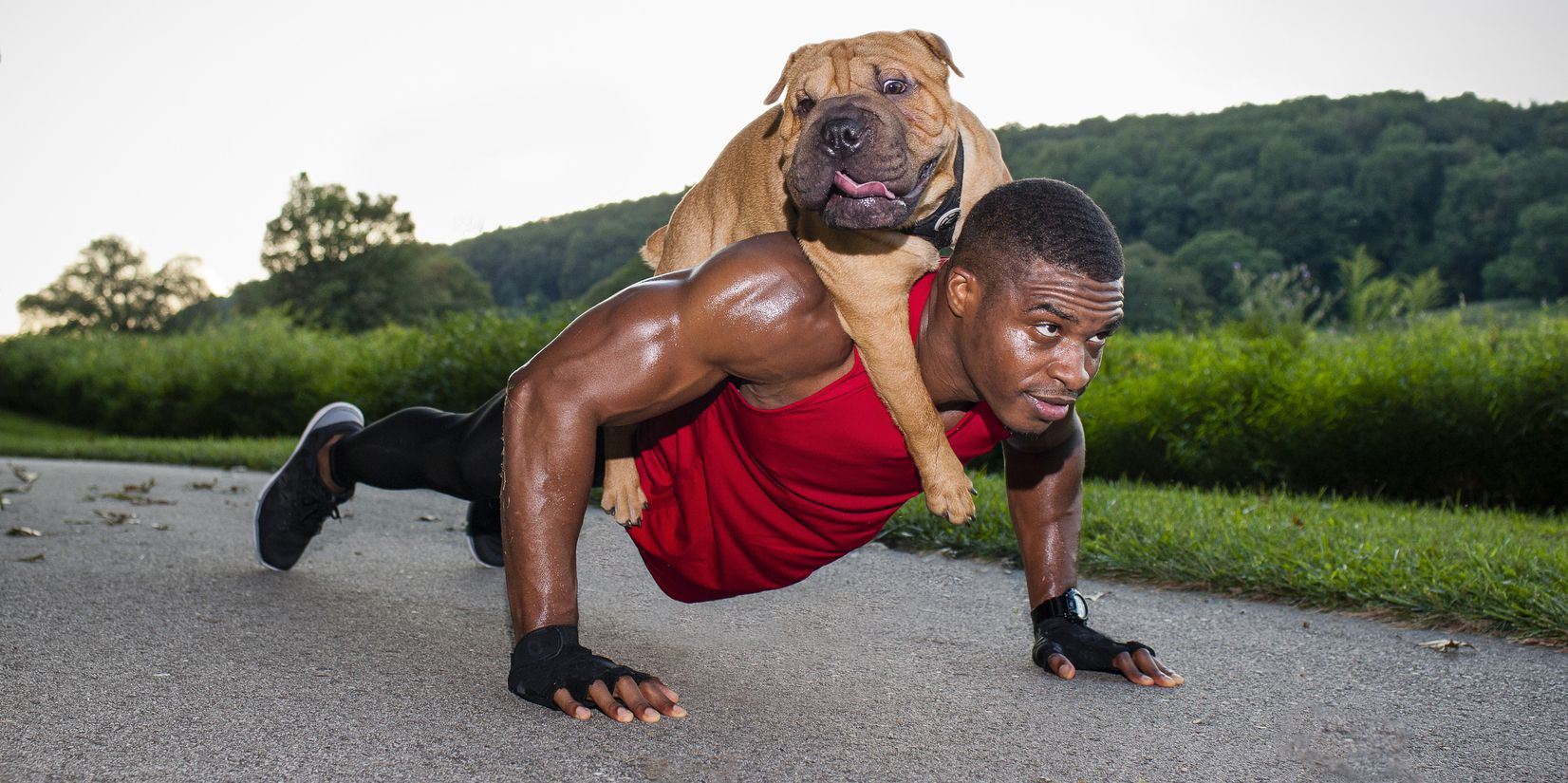Γιατί ο σκύλος είναι ο καλύτερος προπονητής του ανθρώπου