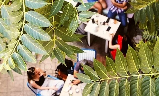 Τα μπαρ των αθηναϊκών αυλών