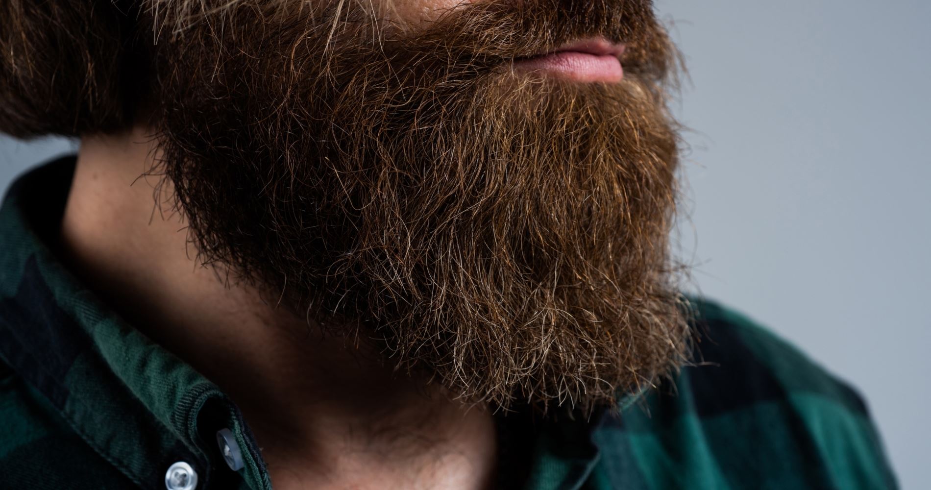 Ελεύθερος -κι ωραίος- από την πιτυρίδα στο μούσι